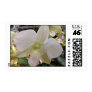White Orchid Stamp