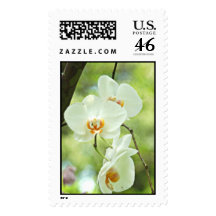White Orchid  Stamps