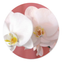 White Orchid Sticker by HawaiianParadise White Orchid Sticker