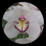 White Orchid Sticker