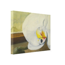 White Orchid Still Life Canvas Art Print canvas prints