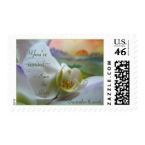 White Orchid Sunrise Wedding Invitation Postage postage
