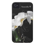 White Orchid Swirl on Black Background Iphone 4 Cover