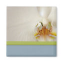 White orchid template with blue and green accent magnet