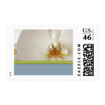 White orchid template with blue and green accent stamps