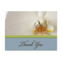 White Orchid thank you card postcards