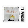 White Orchid Thank You!