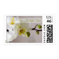 White Orchid Thank You Stamp