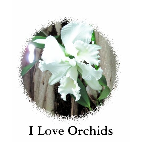 White Orchid shirt