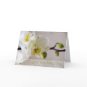 White Orchid Wedding Congratulation Card by SabineStGreetings White Orchid Wedding Congratulation Card