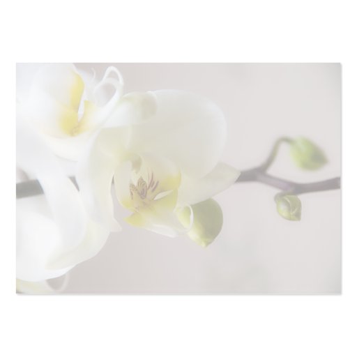 White Orchid â€¢ Wedding Favour Tag Business Cards (back side)