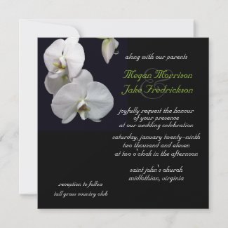White Orchid Wedding Invitation 5.25x5.25 invitation