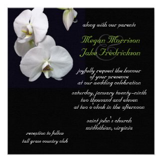 White Orchid Wedding Invitation 5.25x5.25