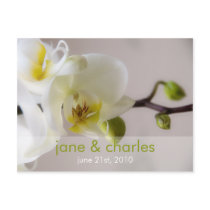 White Orchid • Wedding Invitation Postcard