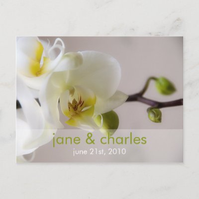 White Orchid • Wedding Invitation Postcard