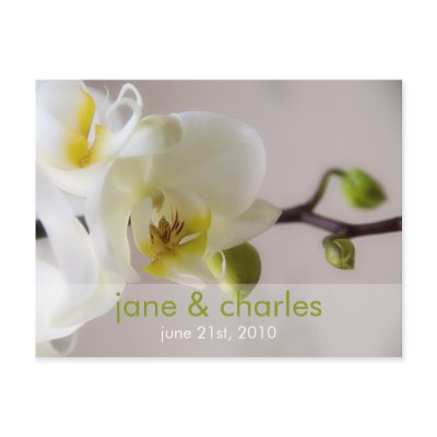 White Orchid • Wedding Invitation Postcard