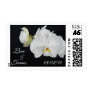 White Orchid Wedding