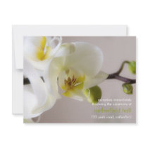 White Orchid • Wedding Reception Invitation by SabineStGreetings White Orchid • Wedding Reception Invitation