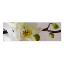 White Orchid • Wedding Website Profile Card business cards