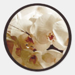 white orchids 1 envelope seals round stickers
