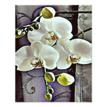 White Orchids and Denim Photo Art