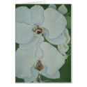 White Orchids cards