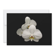 White Orchids Custom Invites