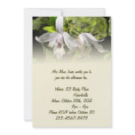 White Orchids Invitation