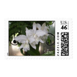 White Orchids Love Postage