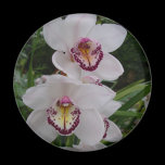 White Orchids Magnet