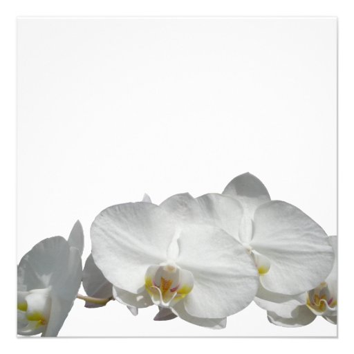 White Orchids Ocean Waves Wedding Announcement