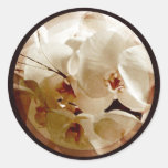 white orchids on red 1 envelope seals round stickers