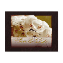 white orchids on red save the date postcards