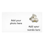 White Orchids Custom Photo Card