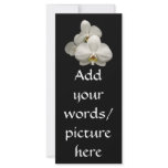 White Orchids Rack Card Design