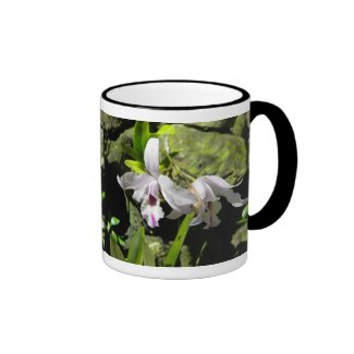 White Orchids Mug