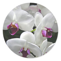 White Orchids stickers by mlane53 White Orchids stickers
