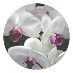 White Orchids stickers