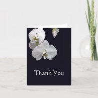 White Orchids Thank You Note Cards