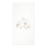 White Orchids With Orange Center Custom Photo Card