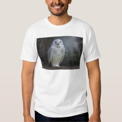 White Owl in Night T-shirt