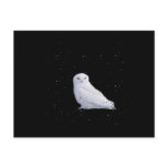 white owl in space post cards