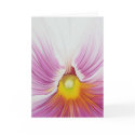 White Pansy Greeting Card by cnag4892 White Pansy Greeting Card
