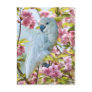White Parrot in Crab Apple Tree Postcard