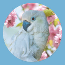 White Parrot in Crab Apple Tree Sticker