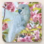 White Parrot in Tree Coaster Set