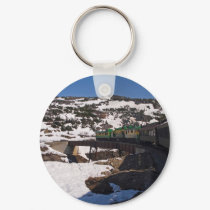 White Pass 25 keychains