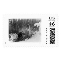 White Pass Alaska Sled Train 1903 Stamps
