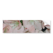 white Peach azalea blossoms flowers Bumper Sticker