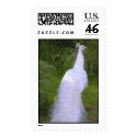 white peacock backside II postage